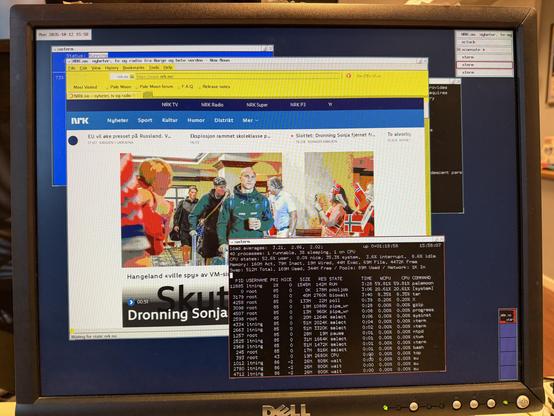 NetBSD with the ctwm window manager. Palemoon browser showing www.nrk.no wi try low colour depth. UI elements are mostly yellow which is wrong. Terminal window in foreground showing a whole lotta swappin' goin' on.