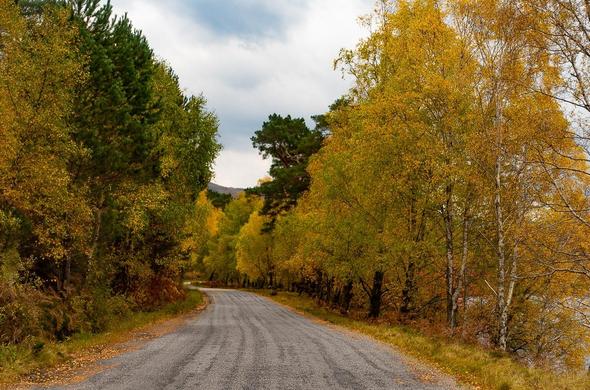 Autumn colours.