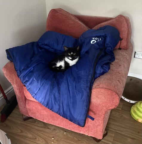 A tuxedo cat nestled into a blue sleeping bag on top of a red armchair.