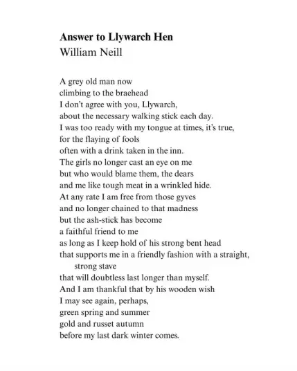 Answer to Llywarch Hen
William Neill

A grey old man now
climbing to the braehead
I don't agree with you, Llywarch,
about the necessary walking stick each day.
I was too ready with my tongue at times, it's true,
for the flaying of fools
often with a drink taken in the inn.
The girls no longer cast an eye on me
but who would blame them, the dears
and me like tough meat in a wrinkled hide.
At any rate I am free from those gyves
and no longer chained to that madness
but the ash-stick has become
a faithful friend to me
as long as I keep hold of his strong bent head
that supports me in a friendly fashion with a straight, strong stave
that will doubtless last longer than myself.
And I am thankful that by his wooden wish
I may see again, perhaps,
green spring and summer
gold and russet autumn
before my last dark winter comes.