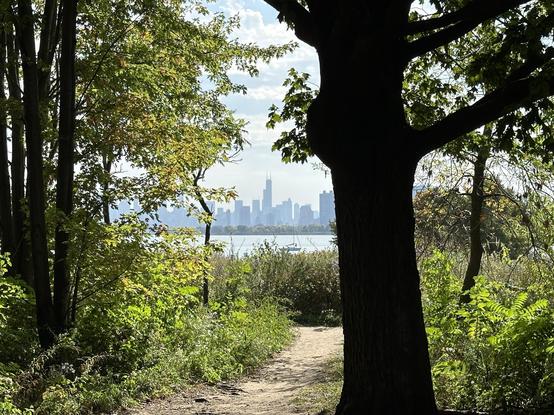 A path in a forest. Behind it, water and a city