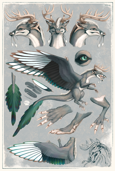 A reference sheet of my dragon, showing off her face, eyes, tail, limbs, and wings, as well as various feather types. She is a gray and white feathered dragon with antlers and whiskers and magpie wings. The tips of her digits on her forepaws and hindpaws have no feathers and are covered in white scales. She has a mane that goes from her forehead down to the base of her tail. Her tail has a fan of feathers like a dromaeosaurid dinosaur might have.