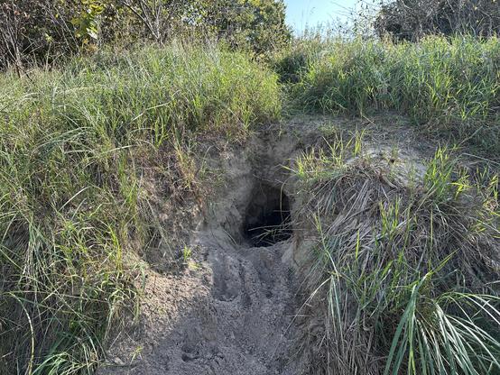 A big hole in the dirt