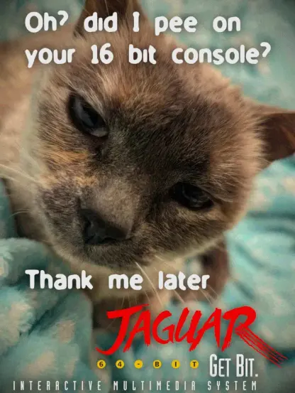 a fake atari jaguar ad featuring kelly's cat looking smug at you with a raunchy slogan. "oh did i pee on your 16bit console, thank me later"