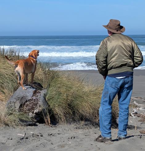 Golden lab is standing on a driftwood tree stump assessing the possibilities before we dropped down onto the beach. She is with her pal who is standing to her right wearing blue jeans, a green jacket and a leather hat.