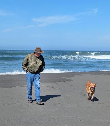 Golden lab is taking her pal for a walk on a sandy beach. The Pacific Ocean is behind them.