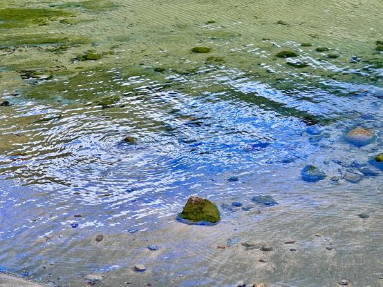 Water ripples near the shore of a lake.