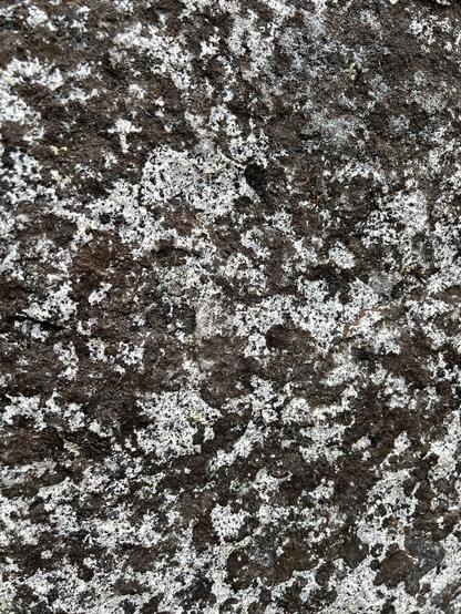 close-up of a granite boulder