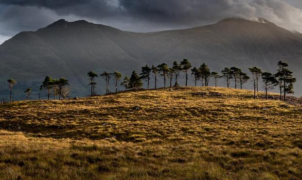 Treeline. The munro Liathach behind.