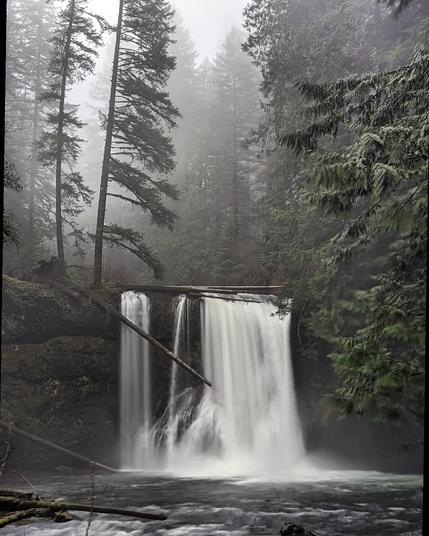 A waterfall about 20 feet high and wide on a foggy day. Tall evergreen trees stand above it.