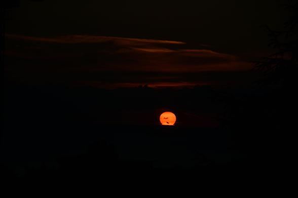 A  picture of the sunset, with the exposure so we can see an orange sun silhouetted against an almost black sky, setting behind the horizon/sea with just a tiny slice already hidden. We can see some clouds illuminated by this, and some within the Sun's shape.

The general overview of the picture reminisces of the early atomic bomb B&W pictures of an almost perfectly sphere shaped shockwave.