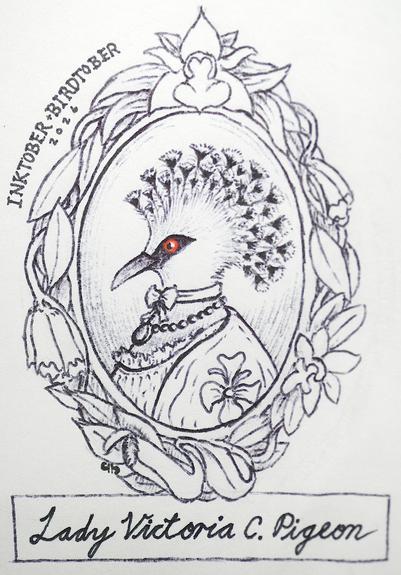 My ink drawing of a Victorian Crowned Pigeon, presented as a Victorian era portrait in an ornate botanically themed frame.