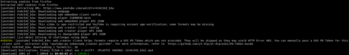 yt-dlp output showing slavoj zizek ideal sex video has been downloaded