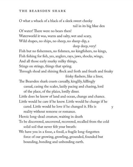 Edwin Morgan
THE BEARSDEN SHARK

O what a whack of a black of a sleek sweet cheeky
tail in its big blue den
Of water! There were no bears then!
Waterworld it was, warm and salty, wet and scary,
Wild shapes, no ships, no sheep, no sheep-dip, a
deep deep, very!
Fish but no fishermen, no fishmen, no kingfishers, no kings,
Fish fishing for fish, yes, anglers, rays, jaws, shocks, wings,
And all those early murky milky things,
Stings on strings, things that spring.
Through shoal and shining flock and froth and freath and freaky
frisky flashers, like a liner,
The Bearden shark coasts casually, kinglily, killingly
casual, casing the scales, lazily pacing and chasing, lord
of the place, of the plaice, lordly diner.
Little does he know of land and ocean, change and chance.
Little would he care if he knew. Little would he change if he 
cared. Little would he love if he changed it. His is
reality without remorse or romance.
Heroic long-dead creature, waiting in death
To be discovered, uncovered, recovered, recalled from the cold
solid soil that never felt your breath:
We have you in a fosse, a fossil, a fragile long-forgotten
force of our growing, growling, grounded, founded but
bounding, bonding and unbonding earth.