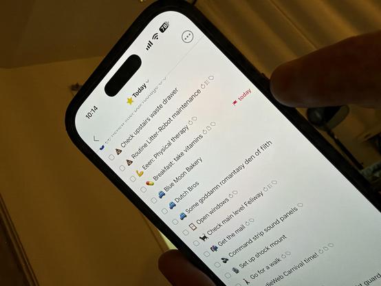 An iPhone with a productivity list on the screen. Today's tasks include, "take vitamins," "get the mail," and "go to some goddamn romantasy den of filth"