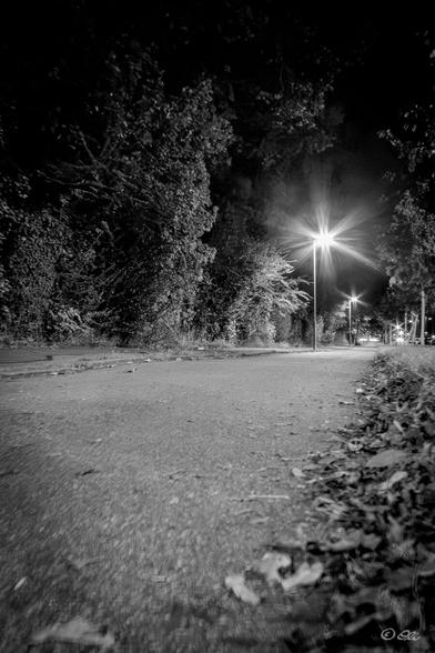 Black-and-white night photo of an empty street. Street lamps with star-shaped rays stand between dark trees and bushes.