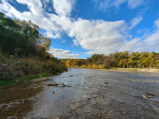 Looking north up the Humber from Old Mill. There are people faintly visible on the far bank watching the salmon spawning. You can't tell from the picture, but the fish could be seen splashing in the river.