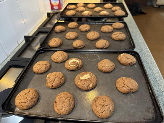 33 dark brown choc chip biscuits across three baking trays