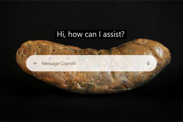 A large fossilised turd known in coprolite circles as “The Kraken”, with an accompanying Copilot “Hi, how can I assist?” prompt above its input area. The input area is superimposed with slight translucency on the turd, with its placeholder text changed to “Message Coprolit”.

The fossilised turd is a gleaming brown rock presented on a black background.