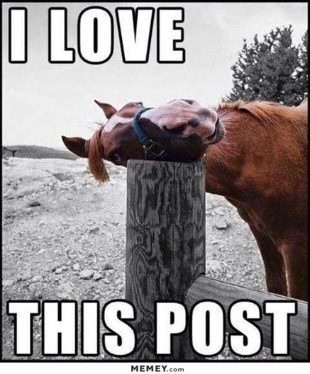 A red horse resting its head on a fence post, with the text "I love this post".