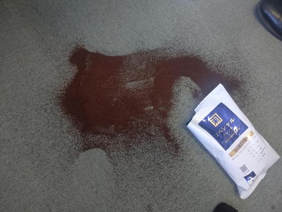 Grinded coffee beans spilled on carpet. This is a few hundred yen wasted. Don't ask. I'm a clumsy dumbass.
