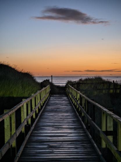boardwalk at dawn