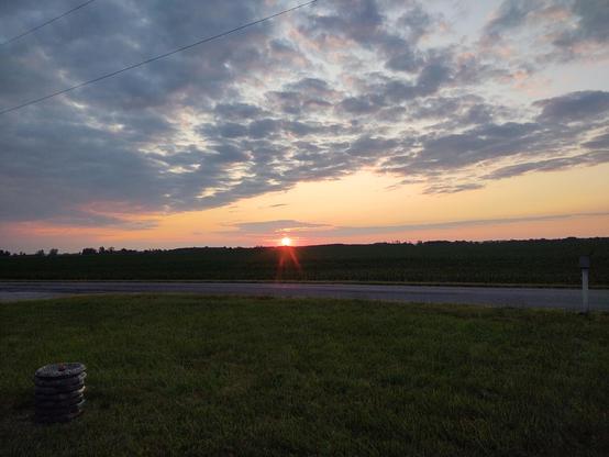 Sunrise over the corn field. Not today. A bright pink ball is just peeking over tall corn. The pale yellow sky is dotted with light gray and purple clouds.