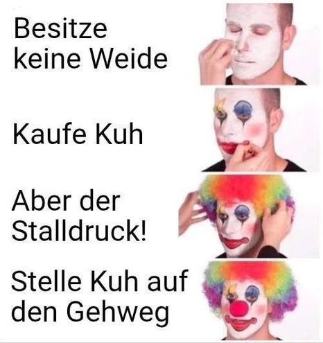 Meme 
Zum Clown werden:.
- Besitze keine Weide
- Kaufe Kuh
- Aber der Stalldruck!
- Stelle Kuh auf den Gehweg