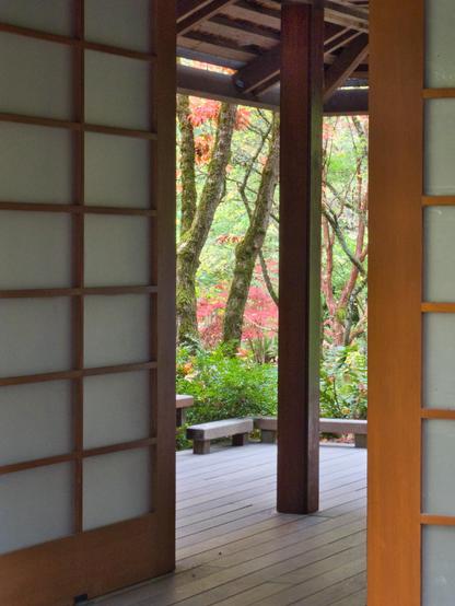 A view through wooden doors and a wooden platform to trees and fall colors of red and orange in the woods beyond.  October, 2026.