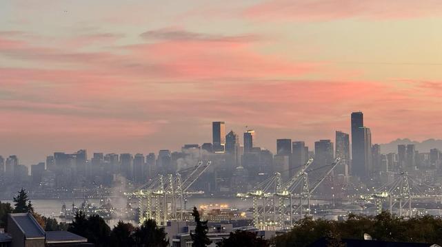 A city skyline at dawn, featuring tall buildings with a hazy atmosphere. In the foreground, cranes are visible near a waterfront, with hints of light reflecting off the water. The sky is painted in soft pink and orange hues.