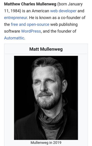 Screenshot of Matt Mullenweg's Wikipedia entry.