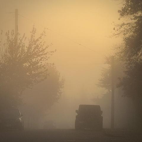 A foggy street scene at dawn, featuring silhouetted cars and trees with a soft golden hue in the background.