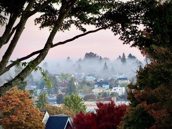 A serene landscape featuring houses nestled among trees and foliage, shrouded in morning fog. The soft pastel sky adds a gentle ambiance, highlighting the autumn colors of the leaves.