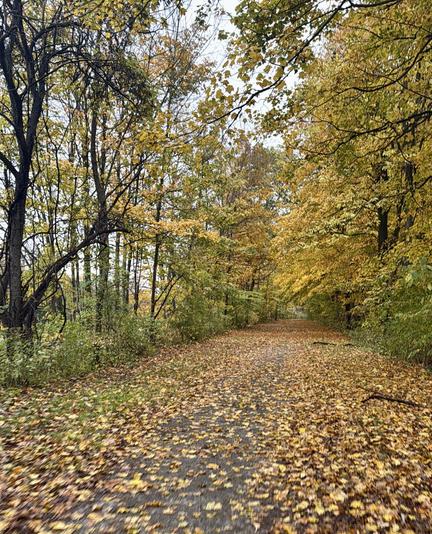 The further east the more fall has progressed. Lots of leaves down on trails today, partially from storms moving through too. Still plenty of yellow leaves holding on.