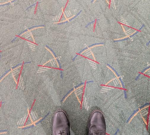 the famous Portland carpet
