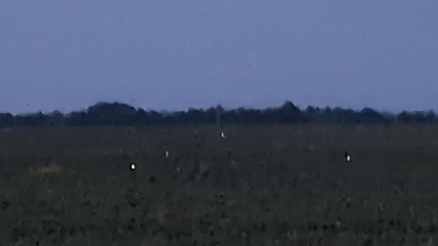 Fireflies coming up out of a bean field at dusk. I recorded this so I can prove to future humans that fireflies actually existed back in the day.