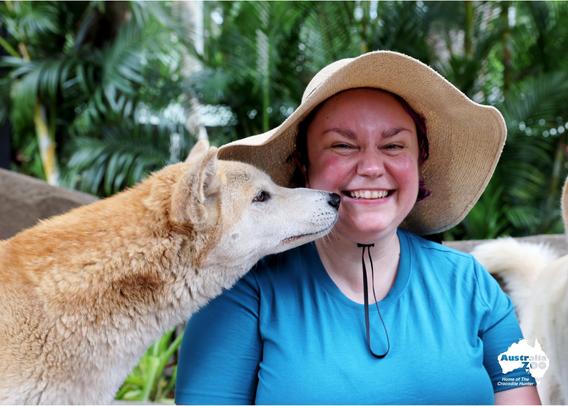 Dingo sniffing my face.