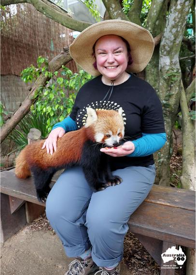 I am feeding a red panda!