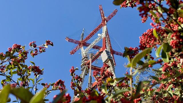Enormous red and white radio tower against a clear blue sky, with red berries in the foreground.