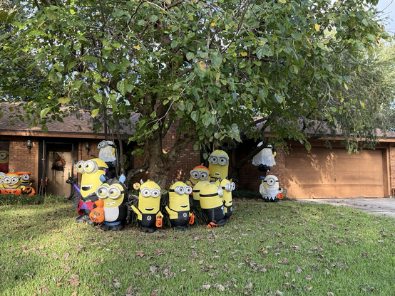 About 25 inflatable Minion characters staged in a front yard. Some are circling an oak tree, and others are nestled near on the porch. Two ghosties are hanging from the tree and the soffit. All are Halloween themed.
