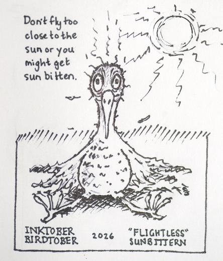 My quick cartoon ink drawing of a sunbittern (which looks a bit like a heron), sitting on the ground a bit dazzled and singed. The sun is beating down and the caption says "Don't fly too close to the sun or you might get sun bitten".