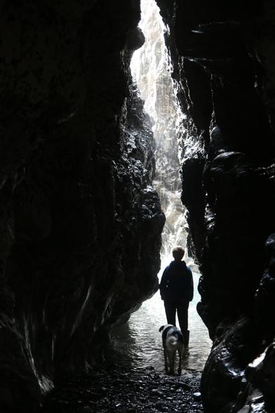 A view from inside a cave at the seaside. The cave entrance is a vertical slit, and a boy and his dog are silhouetted against the light coming in.