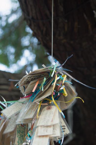 Tags of wishes tied to a string that is hanging between one of the tree's branches and the shelf.
