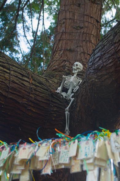 Above the shelf, a mini skeleton sits on the trunk of the tree.