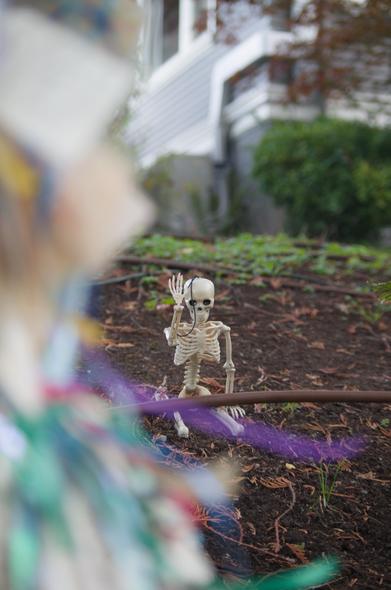 Peeking through the right side of the shelf, another skeleton sitting on the lawn.