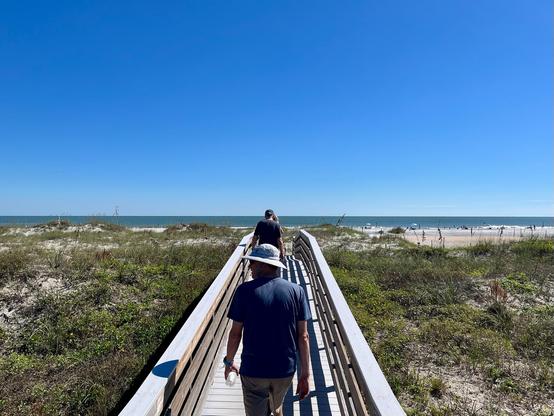 A perspective shot of the backs of people on a wooden walkway between scrubby dunes leading to a sandy beach under a clear blue sky.