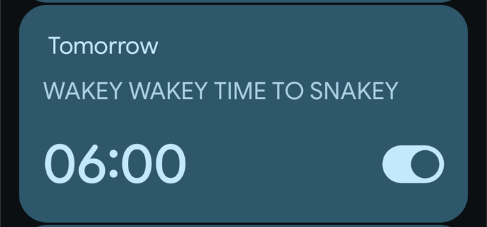 an alarm set for 6am tomorrow, entitled "wakey wakey time to snakey"
