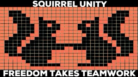 Squirrel unity