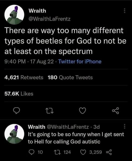 A screenshot of a Twitter thread by user Wraith (@WraithLaFrentz).   
The top tweet, posted at 9:40 PM on August 17, 2022, reads:

"There are way too many different types of beetles for God to not be at least on the spectrum"   

Below it is a follow-up reply by the same user, posted 3 days later:
"It's going to be so funny when I get sent to Hell for calling God autistic"