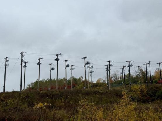 Up on a rise 3 rows of power poles extend out from taps on a big power line (not shown) off the right side. The power poles have fuse/switches and a transformer, then a . No buildings are nearby. Not all poles arrangements are identical, some also have a large grey box near bottom.